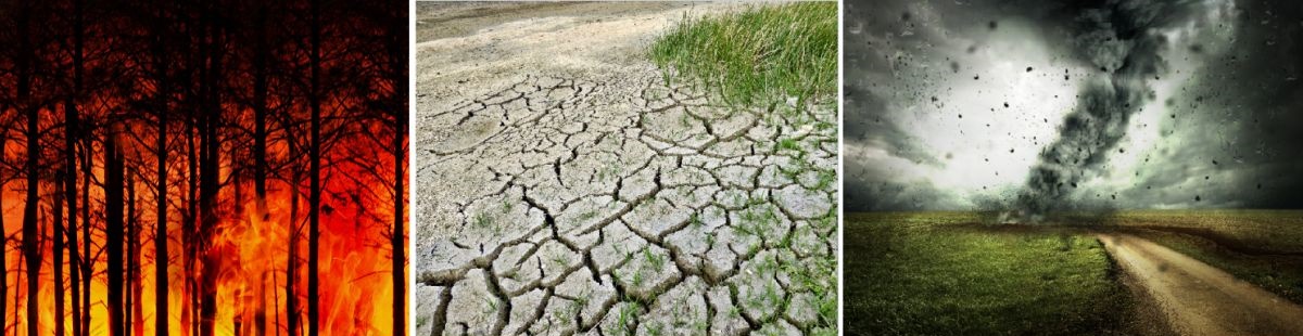 La acción climática global enfrenta un punto de inflexión: desafíos, promesas y la cuenta regresiva hacia 2030